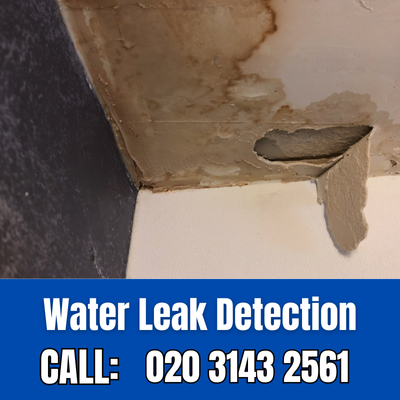 Expert Water Leak Detection Services in Paddington | Paddington Leak Detection